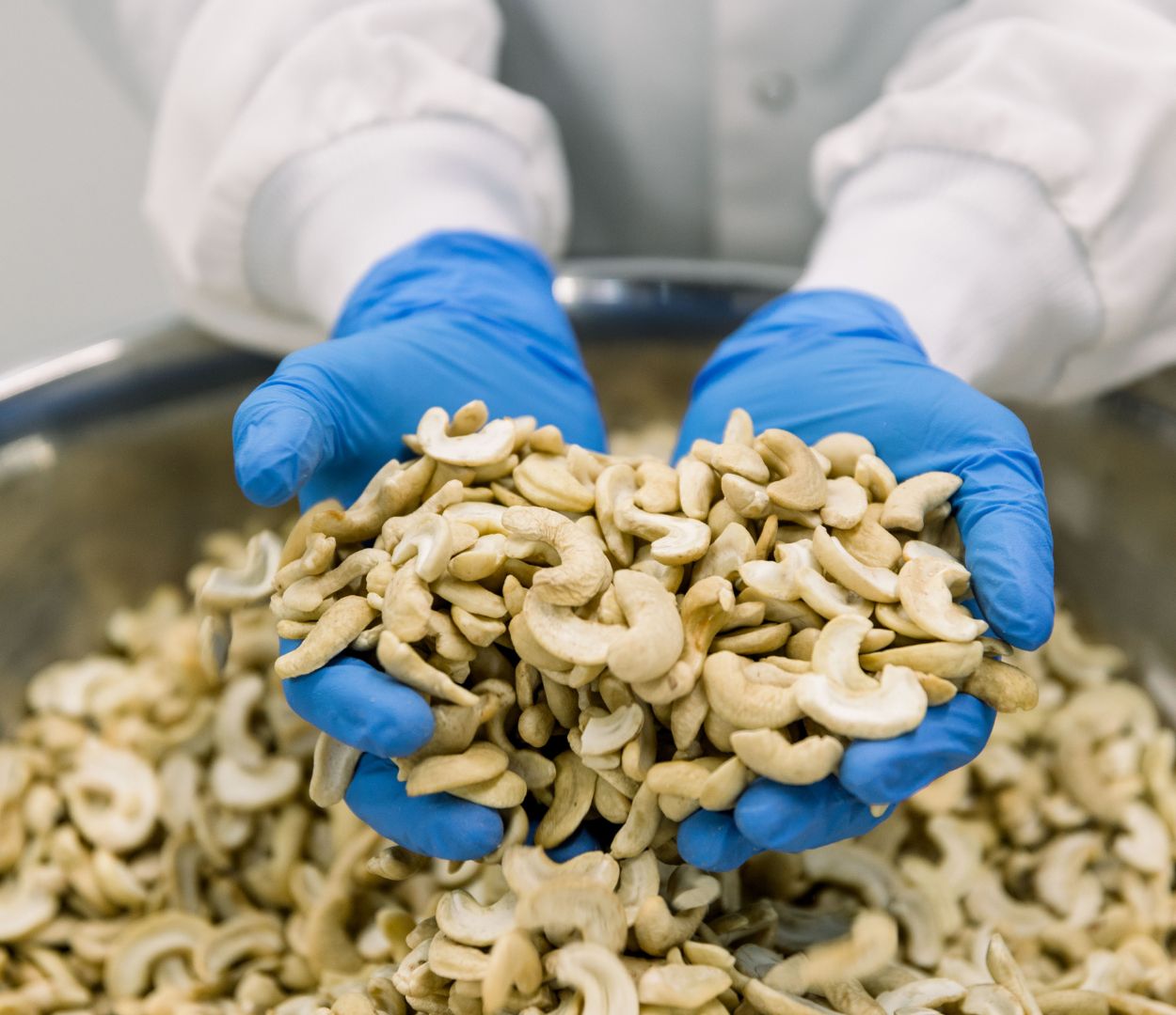 Margaret Coons dans l'usine Nuts For Cheese™ tenant des noix de cajou avec des gants bleus